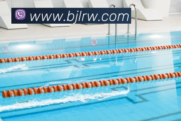 百家乐网站发展历程